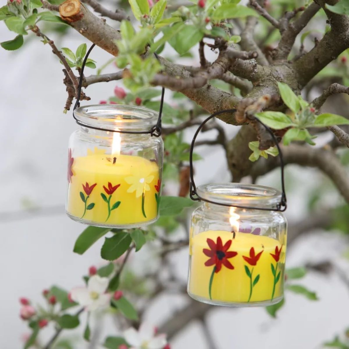 Zitronella-Kerzen von Schlaraffenland