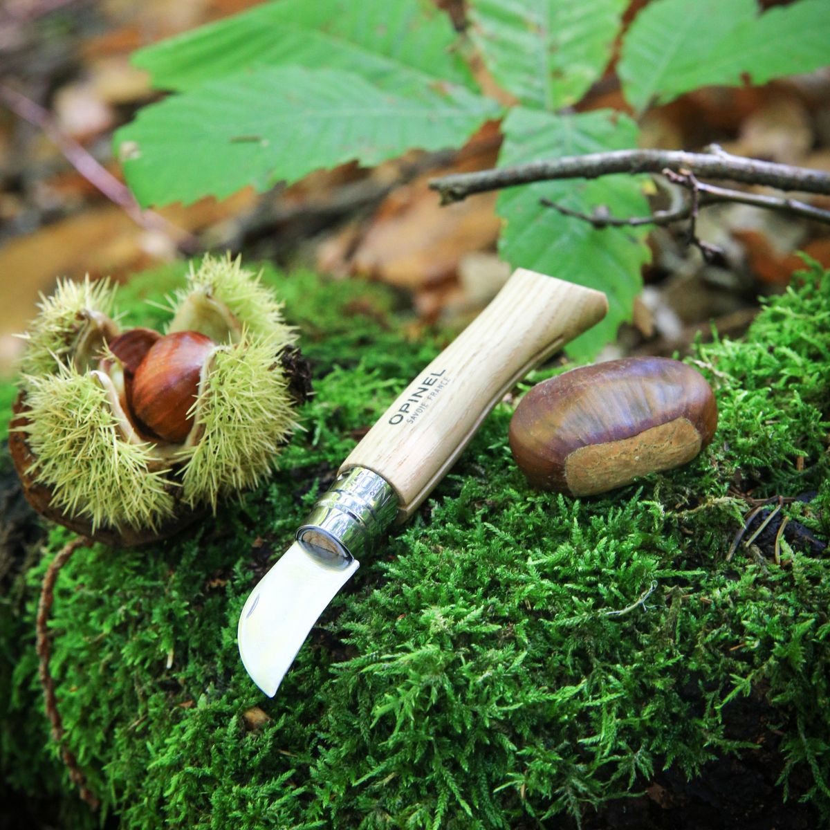 Kastanienmesser No 07 von Opinel