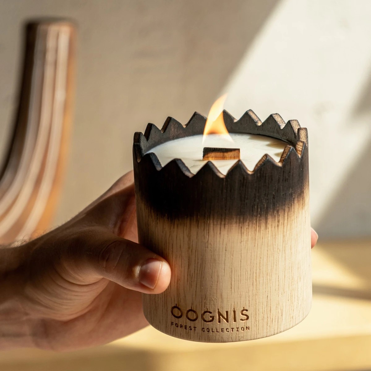 Scented candles “Forest Collection” by Oognis