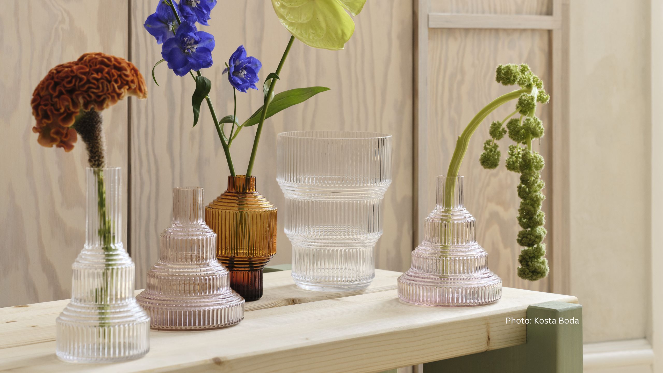Various vases with flowers