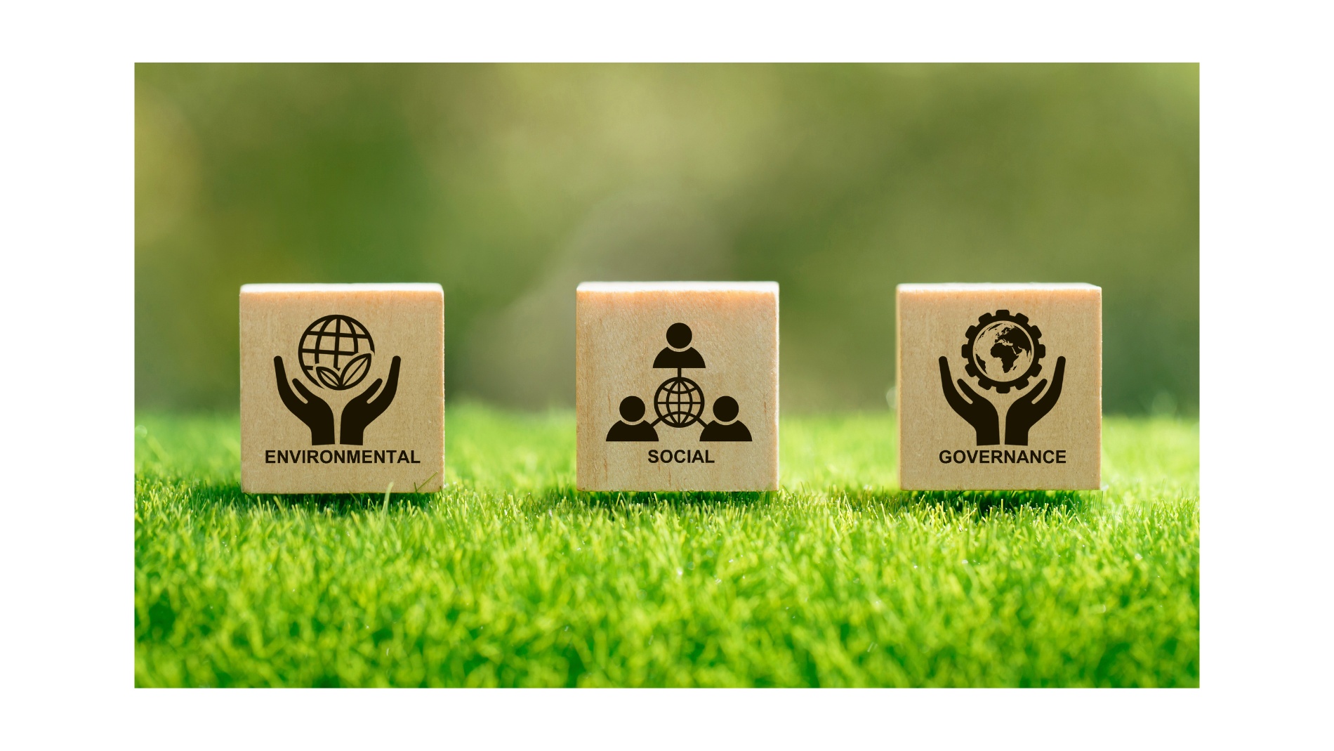 Three cubes with sustainability symbols lie on grass