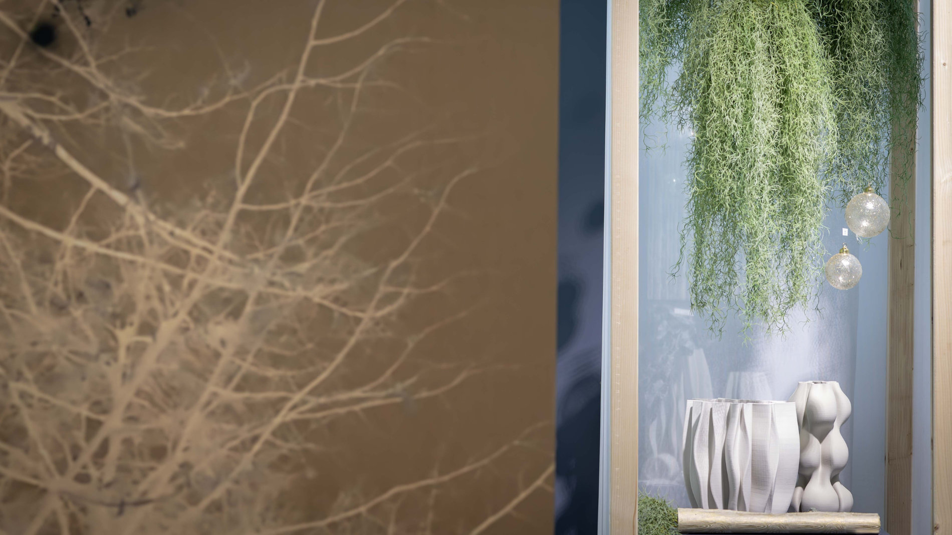 Branches and vases