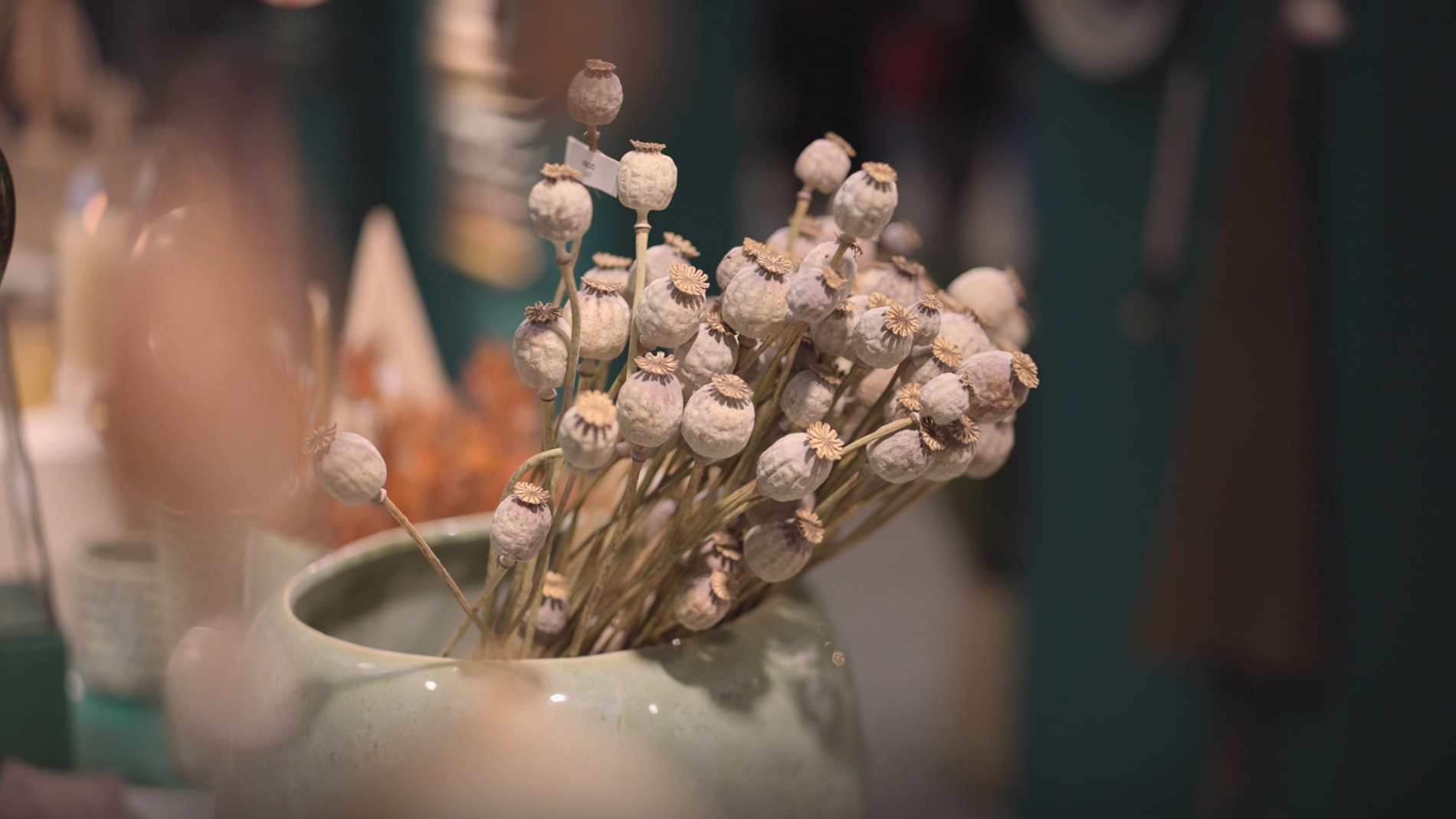 dried poppy heads