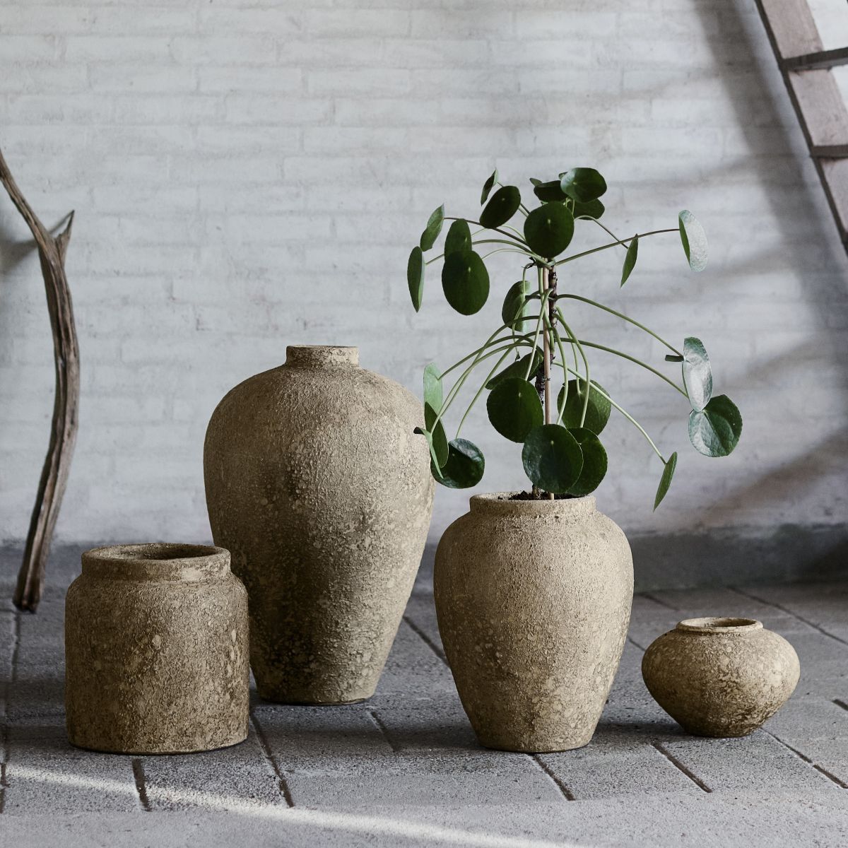 Vases by Muubs