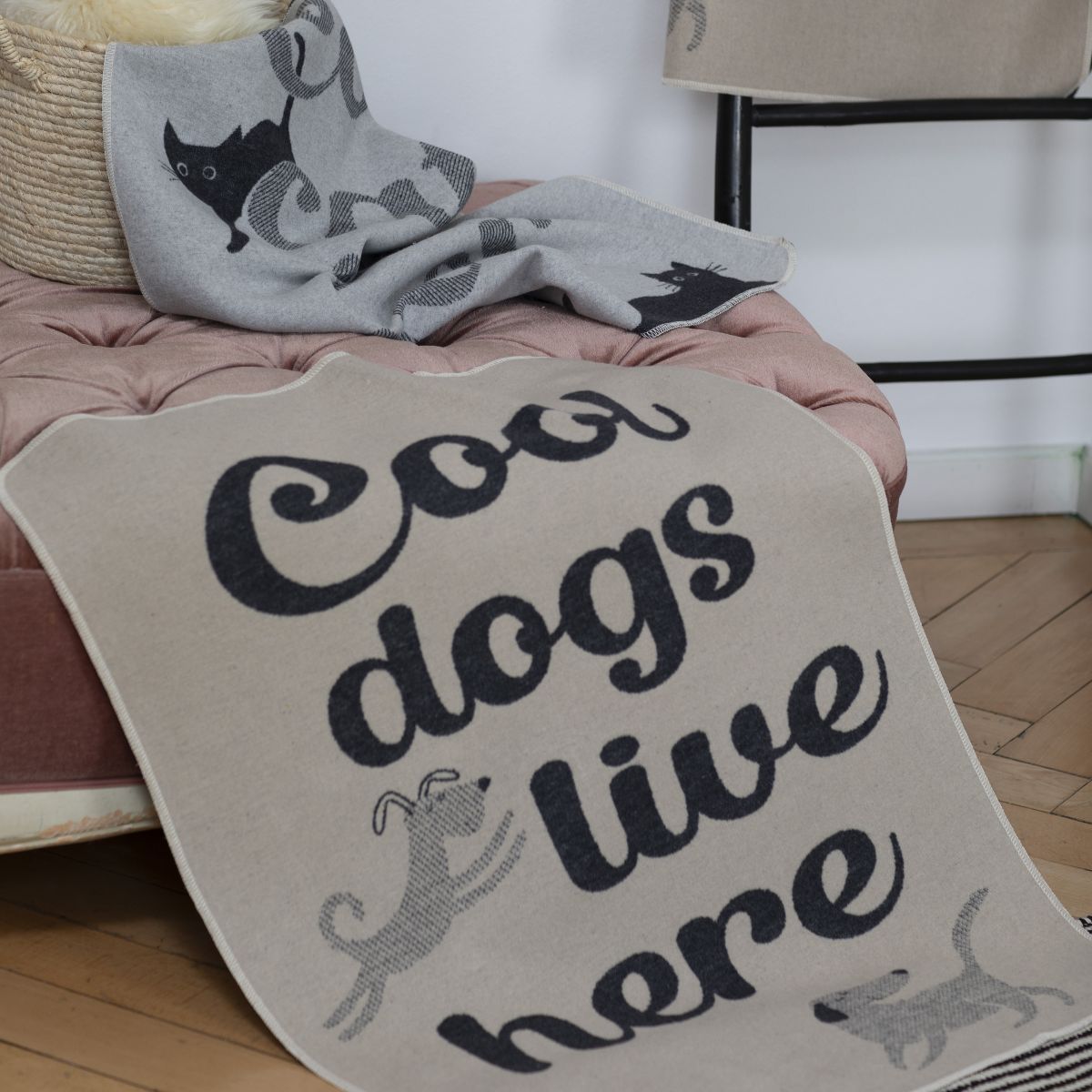 Pet blankets by David Fussenegger