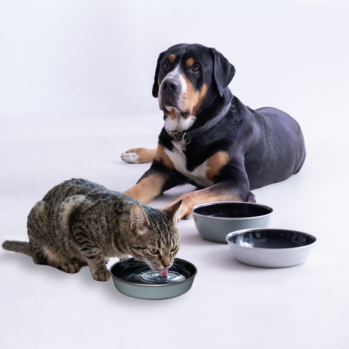Feeding bowls by Riess
