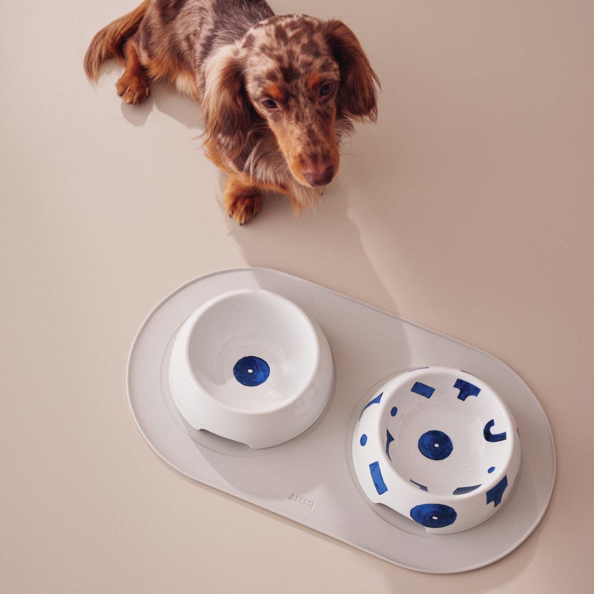 Itsumo pet Yunoki ware by Alessi