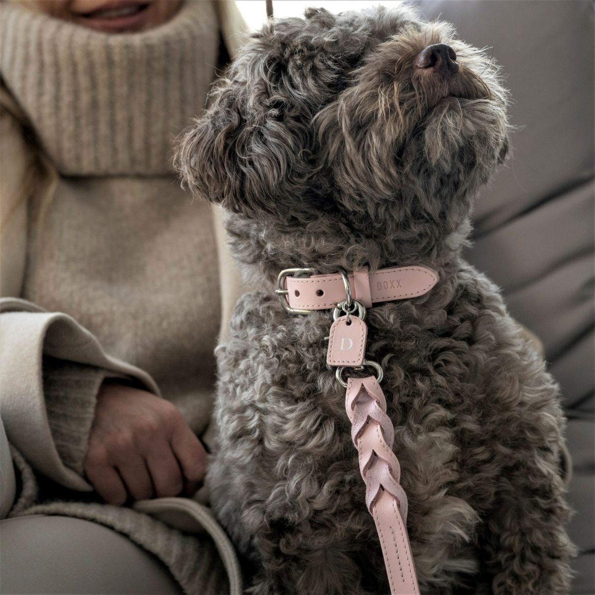 Dog collection by Doxx Amsterdam